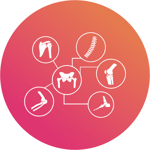 Orthopaedic & Lumbar Spine
